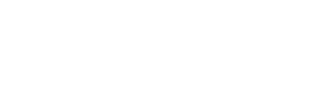 SFEIR Logo